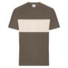 muddy-brown/sandstone