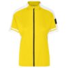 sun-yellow